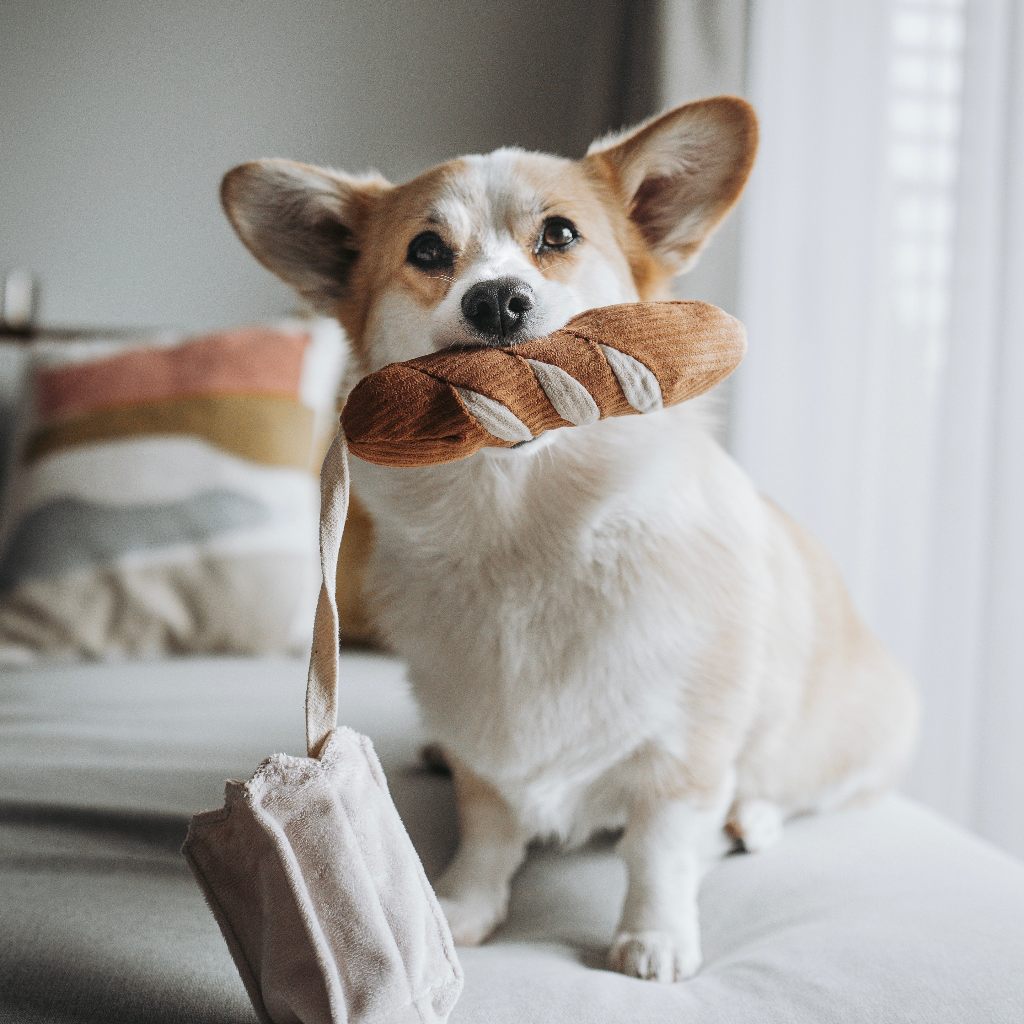 MINI-BAGUETTE