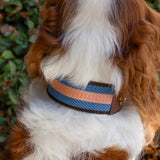 ASTOR COLLAR