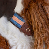 ASTOR COLLAR
