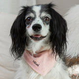 Blush Picnic Dog Bandana