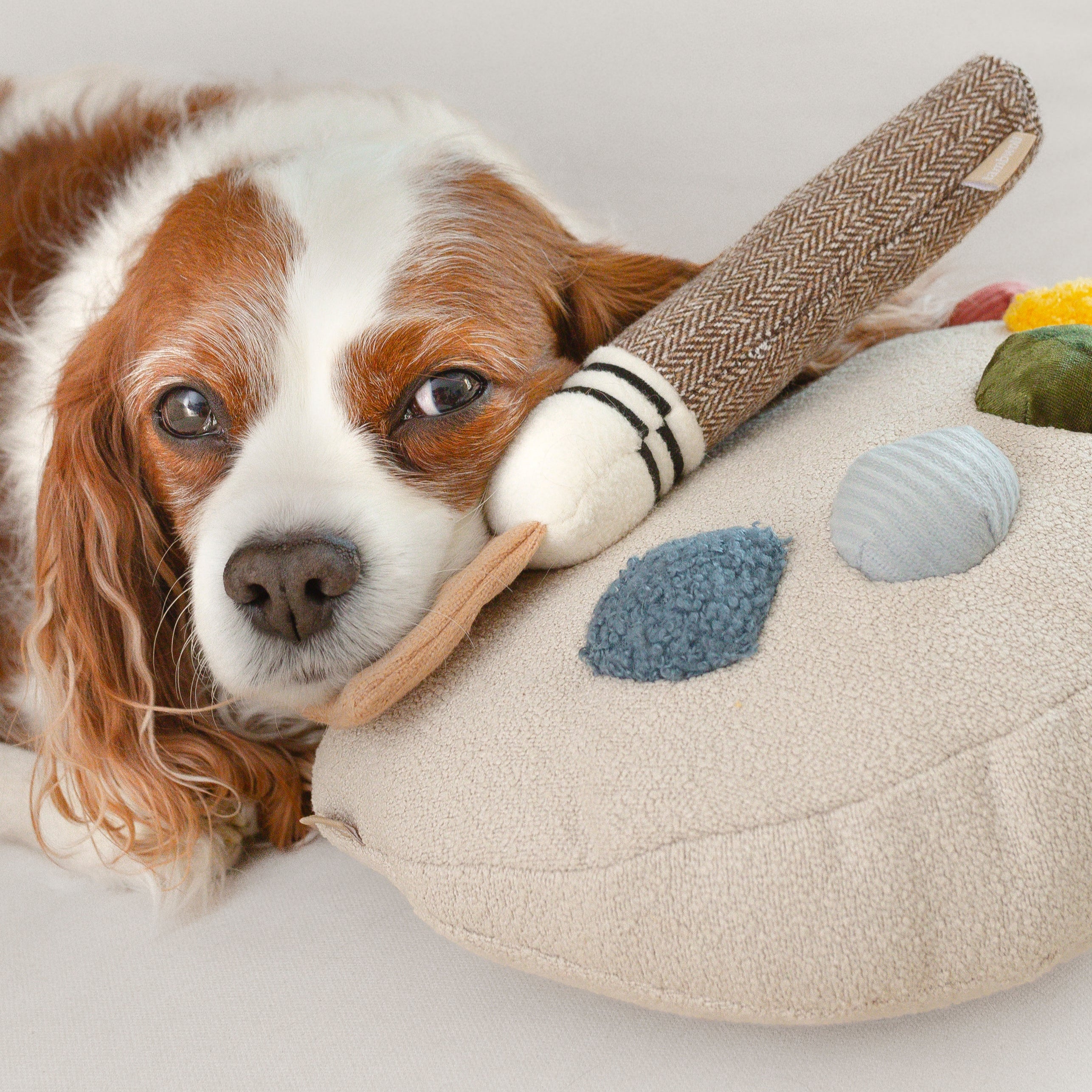 Color Palette Set - Lambwolf Collective