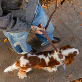 CLASSIC LEASH