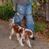 CLASSIC LEASH