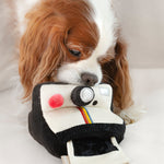 INSTANT CAMERA - Lambwolf Collective