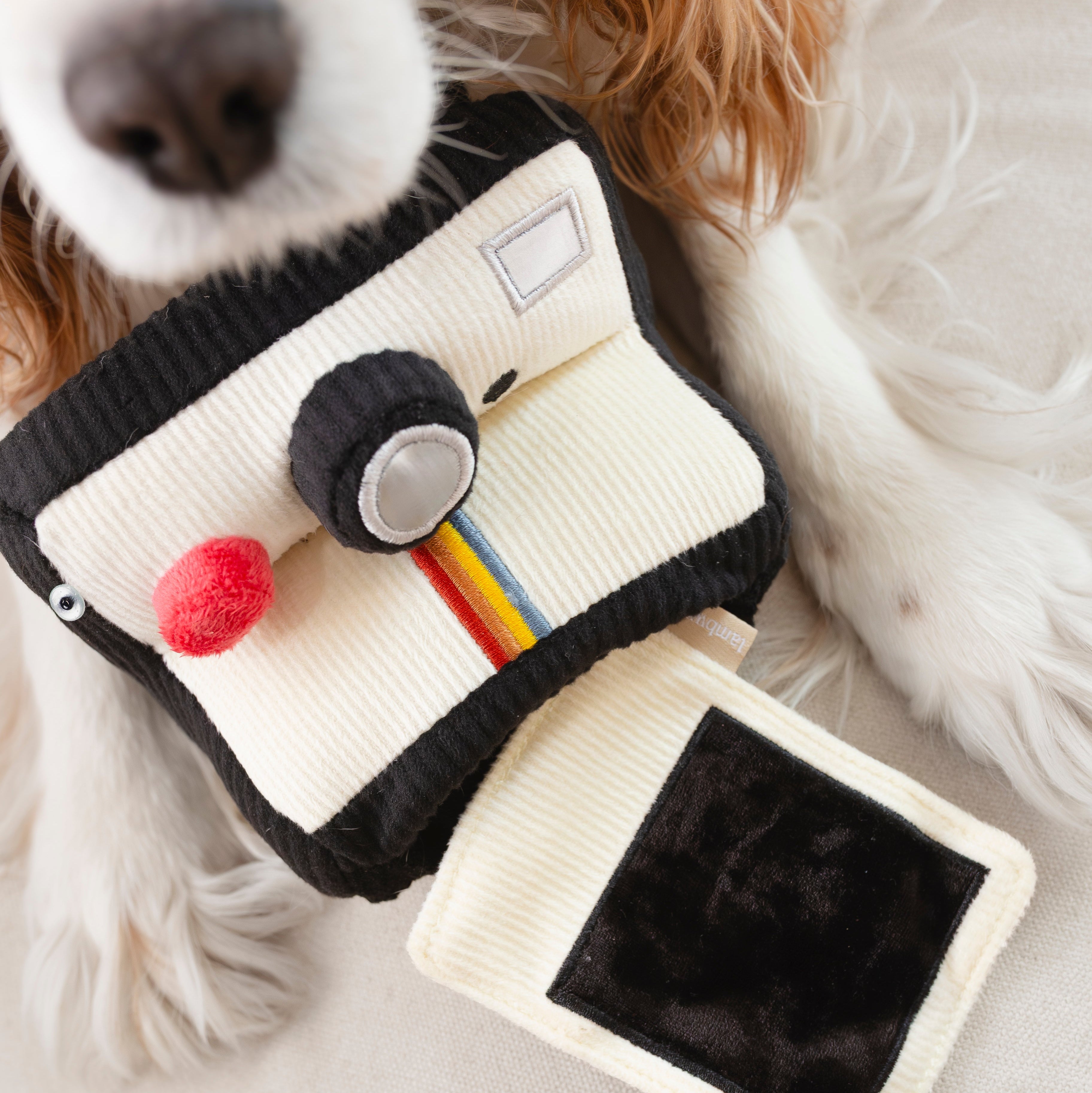 INSTANT CAMERA