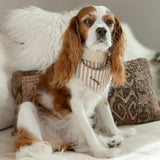 Mocha Stripe Dog Bandana