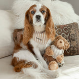 Mocha Stripe Dog Bandana