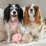 Blush Picnic Dog Bandana