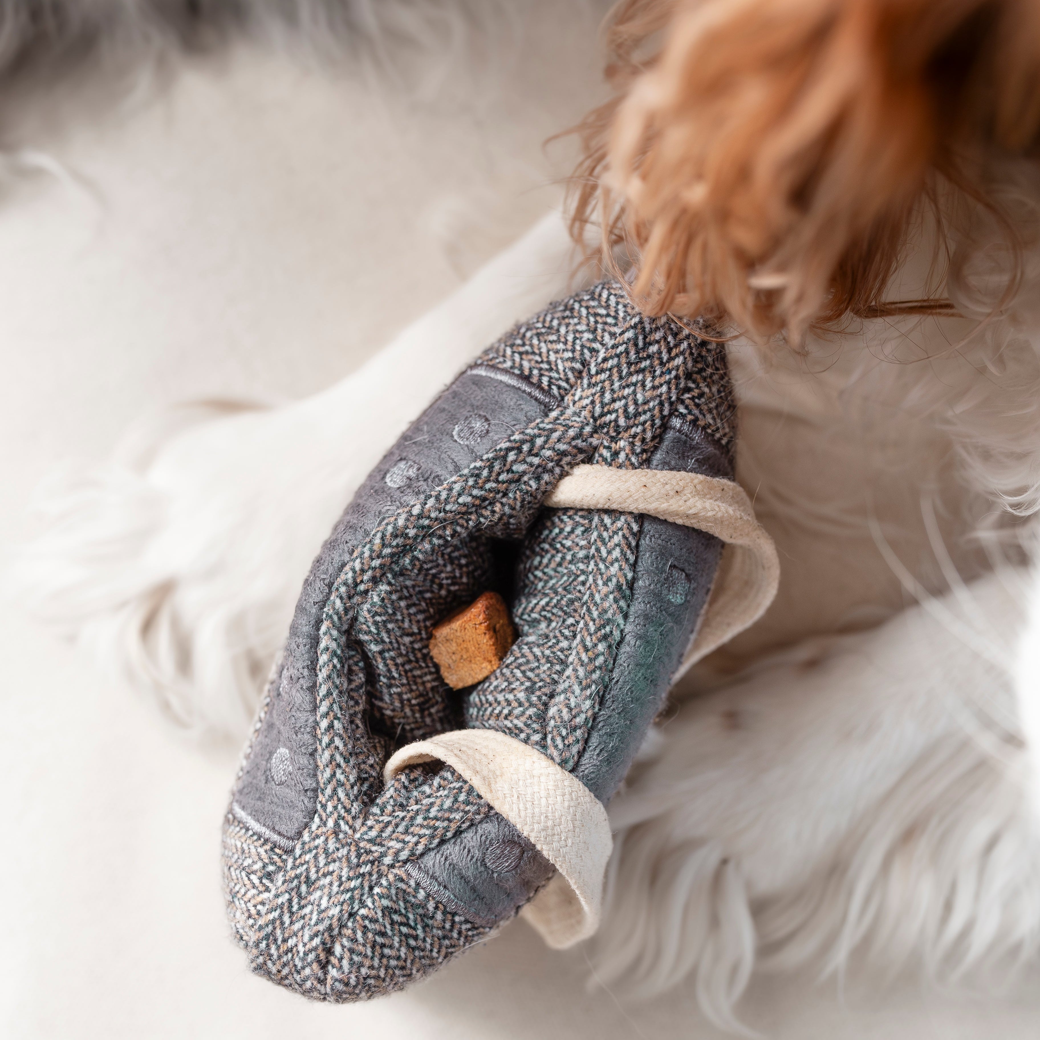 CASSETTE - Lambwolf Collective