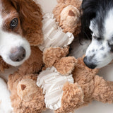 Initial Teddy
