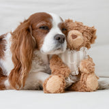 Initial Teddy