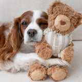 Initial Teddy