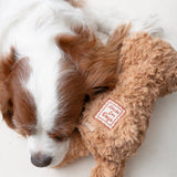 Initial Teddy