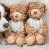 Initial Teddy