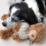 Initial Teddy