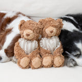 Initial Teddy