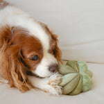 TOTO - Lambwolf Collective