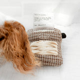 Typewriter - Lambwolf Collective