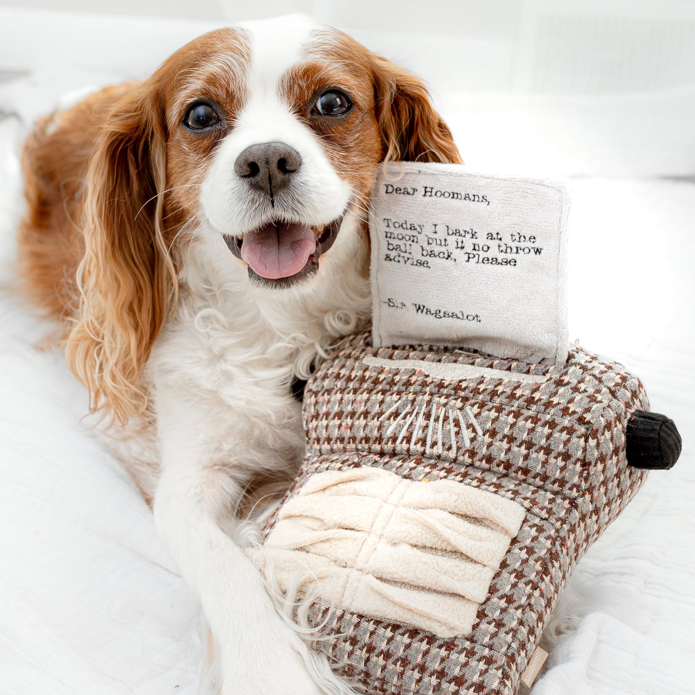 Typewriter - Lambwolf Collective