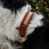 WALNUT COLLAR