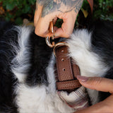 WALNUT COLLAR