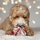 FLANNEL MONTI