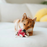 LOLLIPOP - Lambwolf Collective