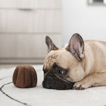 CANELE - Lambwolf Collective