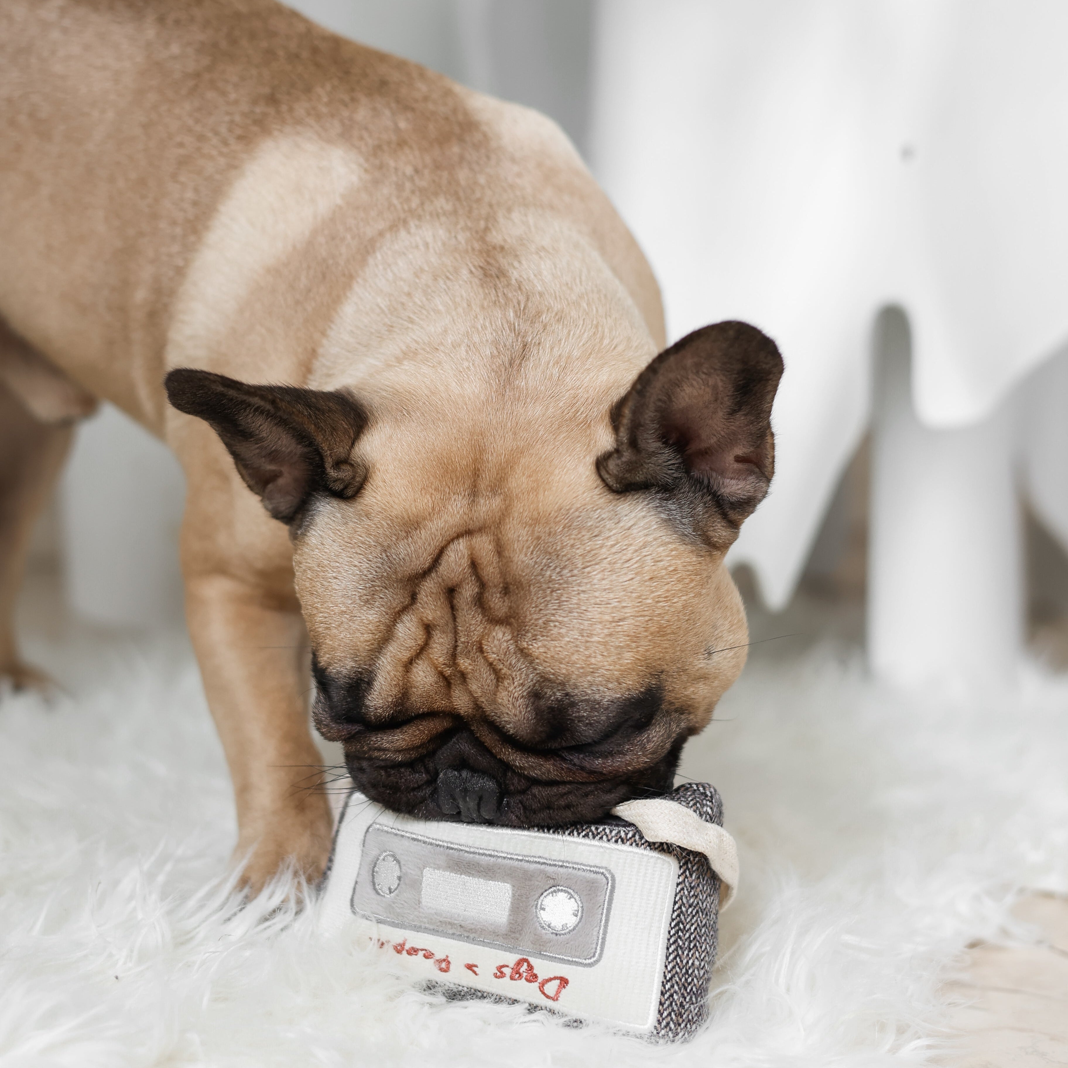 CASSETTE - Lambwolf Collective