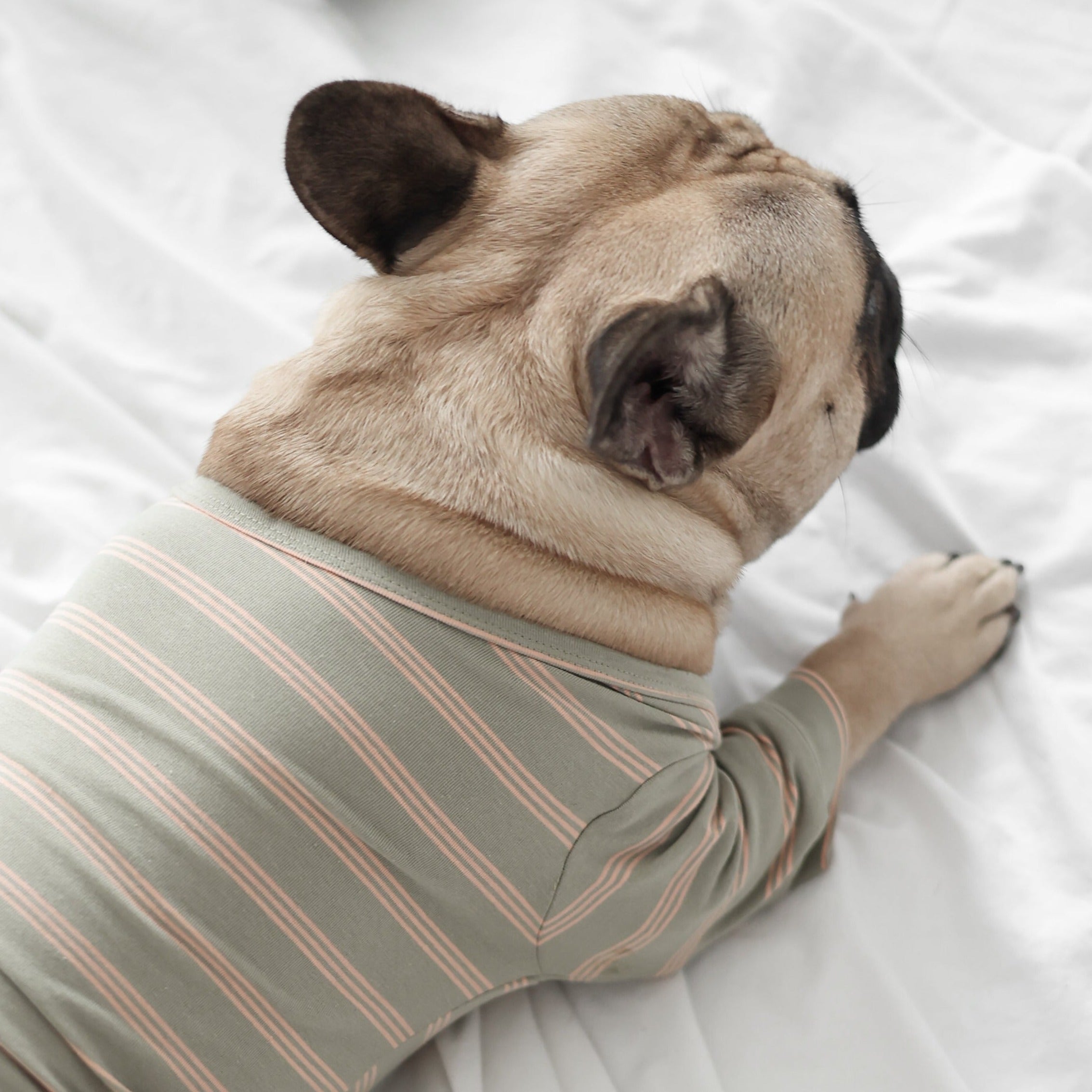 CHELSEA - Lambwolf Collective