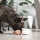 MINI BAGUETTE - Lambwolf Collective