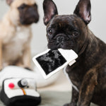 INSTANT CAMERA - Lambwolf Collective