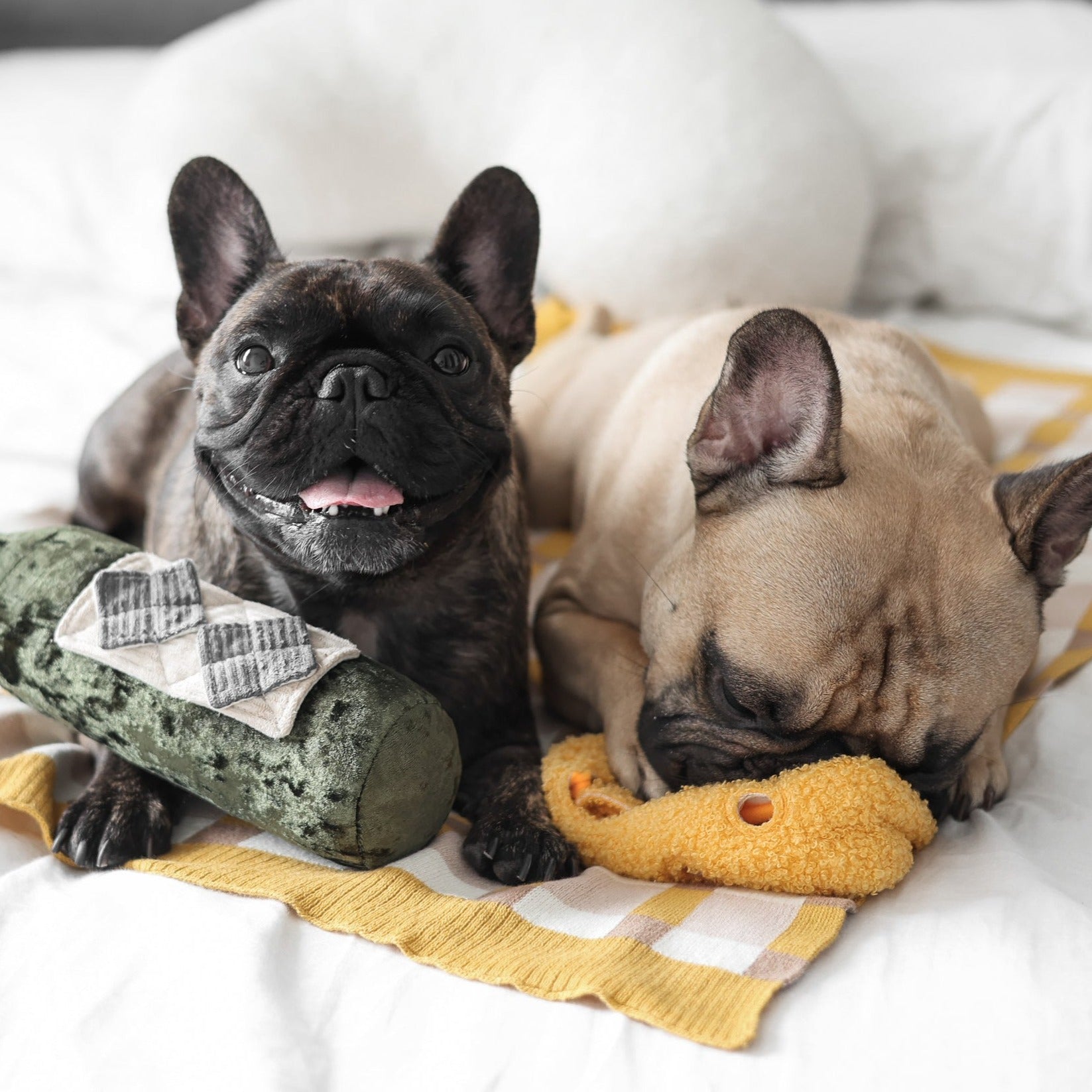 MERLOT - Lambwolf Collective