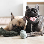 Pea POP - Lambwolf Collective