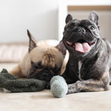 Pea POP - Lambwolf Collective