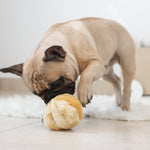 TOTO - Lambwolf Collective