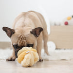 TOTO - Lambwolf Collective