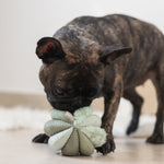 TOTO - Lambwolf Collective