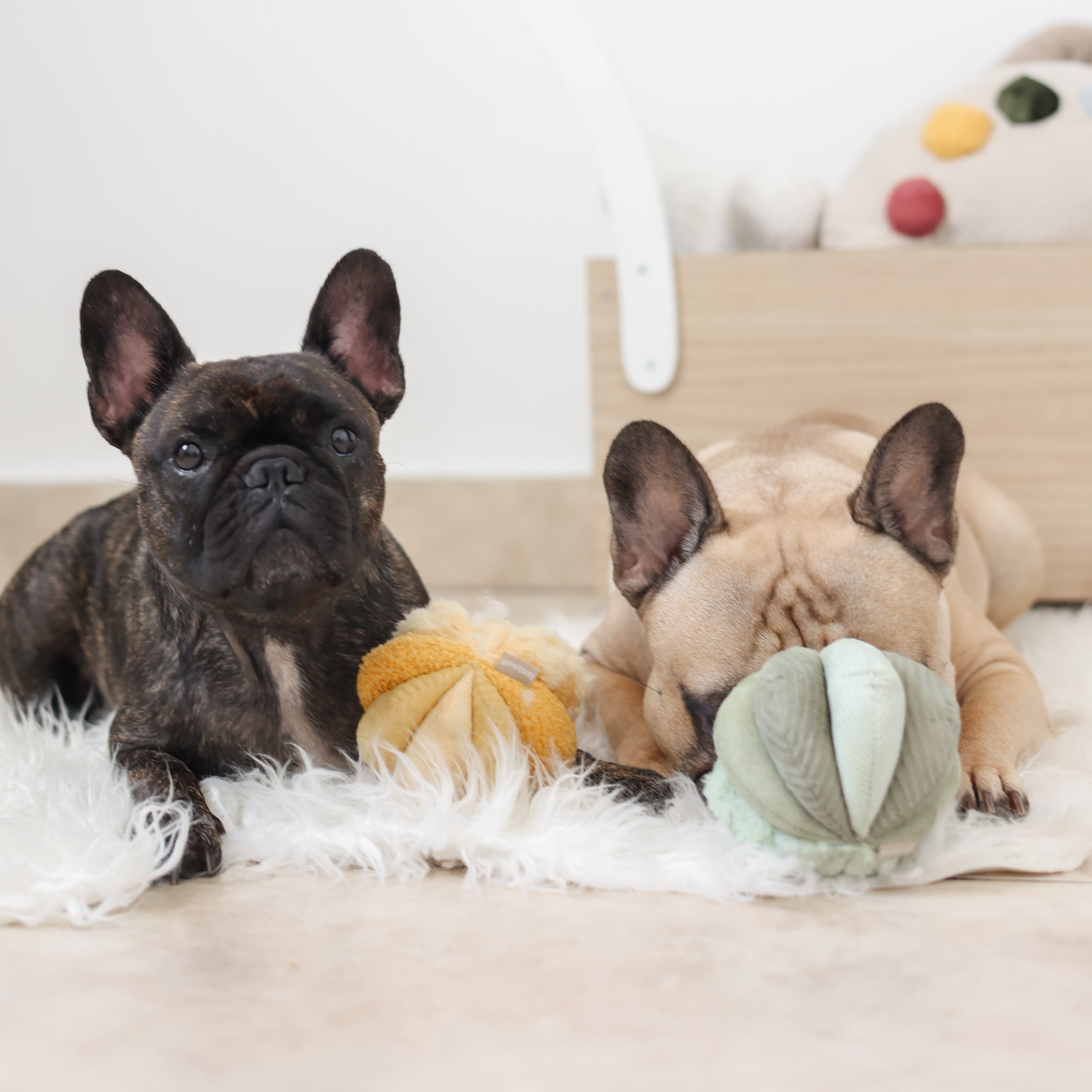 TOTO - Lambwolf Collective