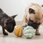 TOTO - Lambwolf Collective