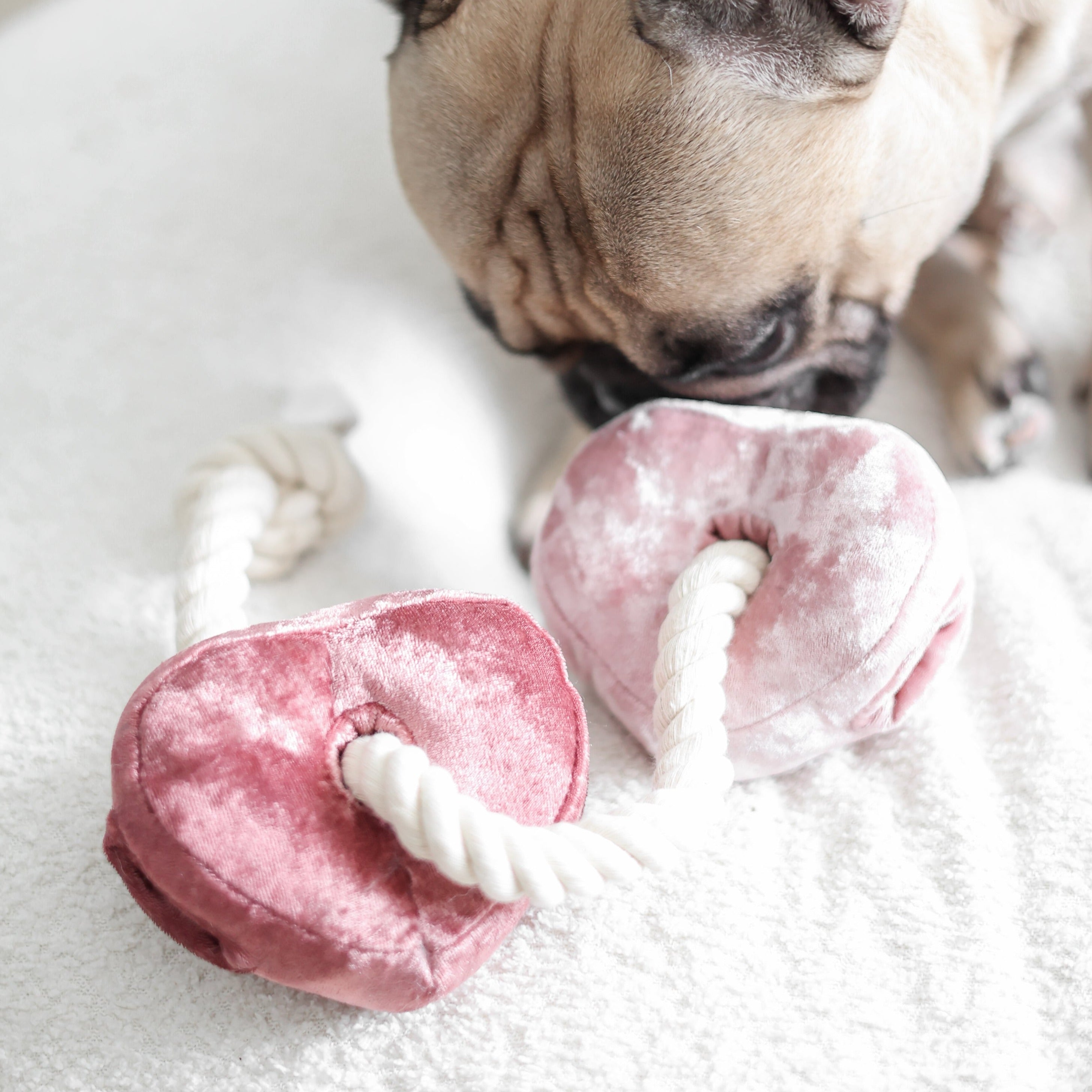 BLOCS SAINT-VALENTIN
