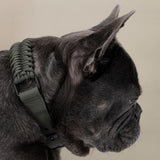 Adjustable handwoven braid dog Collar 