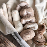 O BREUER - Lambwolf Collective