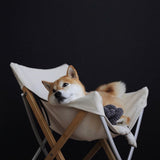 A Shiba Inu dog relaxes in a white canvas camping chair, gazing thoughtfully into the distance. 
