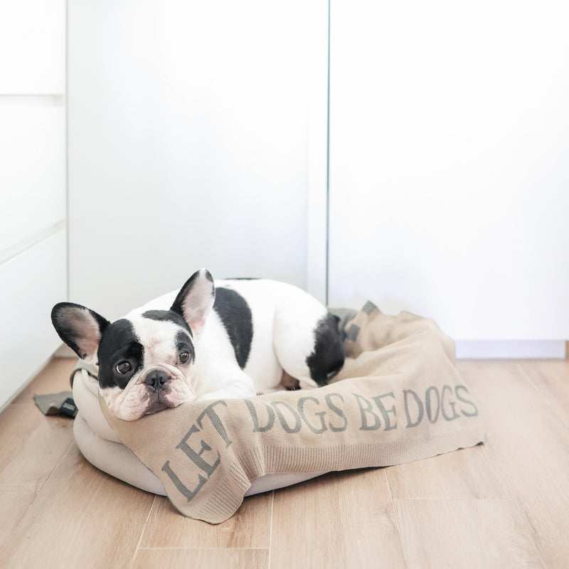 Cotton Dog blanket Dog bed accessories
