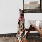 Mellem waterproof hands free dog leash convertible
