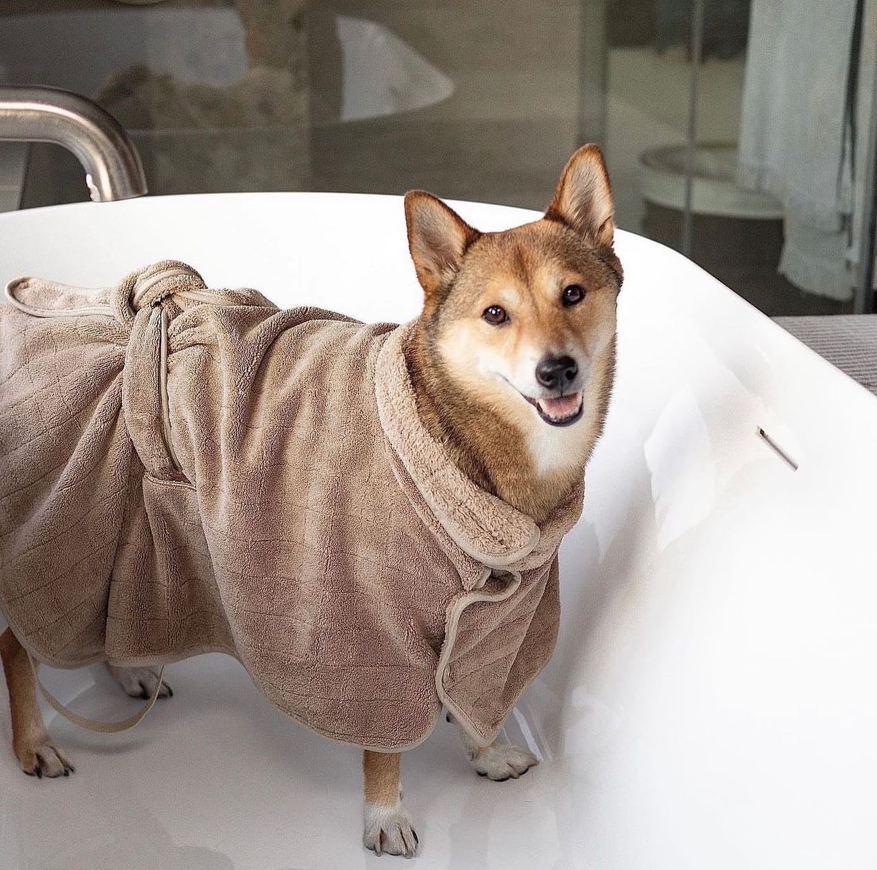 Baby Fleece Bathrobe - Dog Clothes | Dog Bathrobe – Lambwolf Collective
