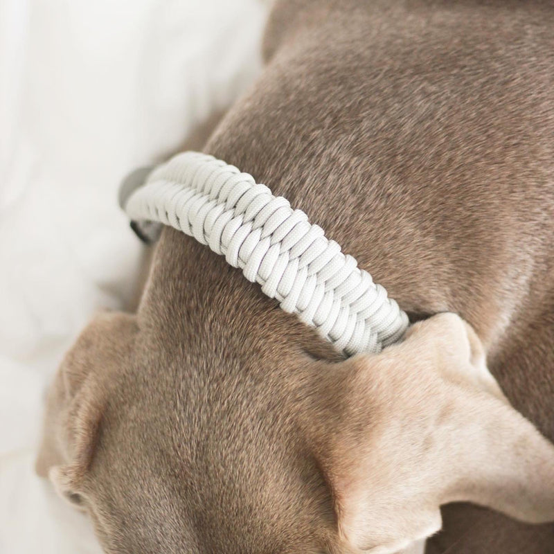 Adjustable handwoven braid dog Collar 