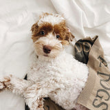 Cotton Dog blanket Dog bed accessories