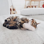 KITTY BREUER - Lambwolf Collective